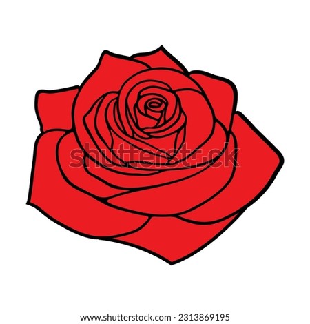 Red Rose flower on white background. Isolated illustration.