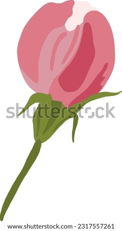 Pink Blossom Flower Bud. Sakura or Cherry Bloom Tree. Hand Drawing Beauty Plant. Cartoon Vector Illustration on White Background