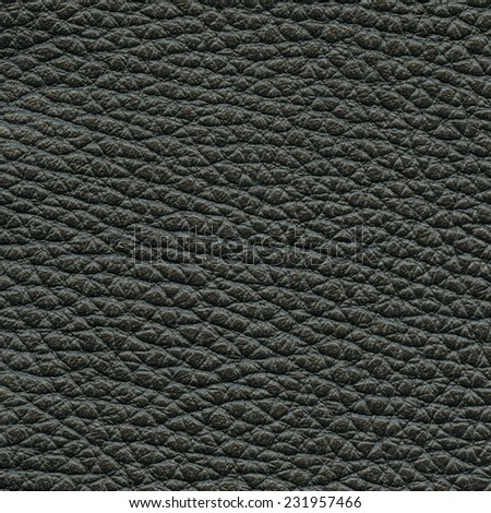 black leather texture. Useful as background in design-works