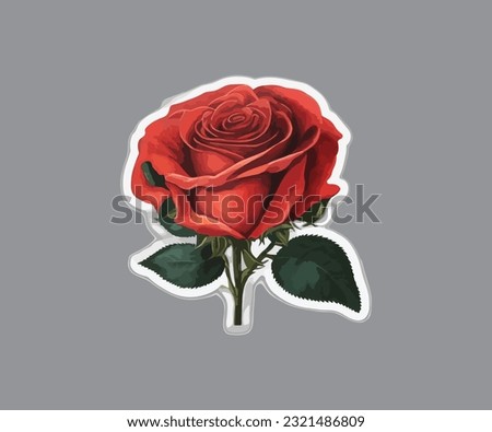 Roses. Set of three red rose flowers isolated on a white background. Vector illustration, Rose 