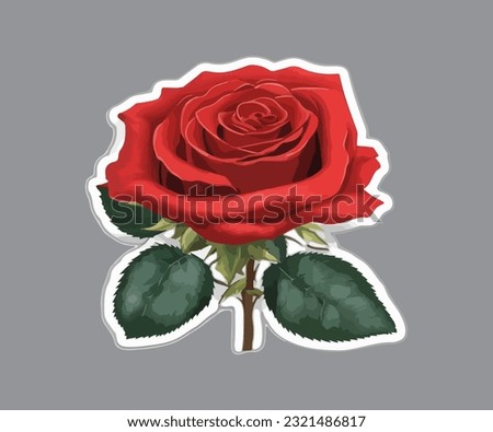Roses. Set of three red rose flowers isolated on a white background. Vector illustration, Rose 