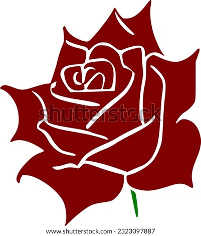 vector illustration of red rose flower