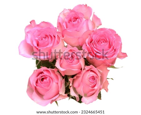 Bunch of six Beautiful Red Roses