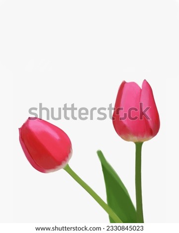 vector tulip flower. fresh flower. red flower.