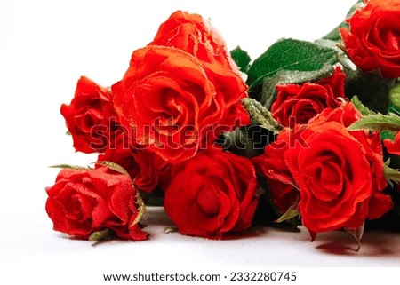 bouquet of red roses on a white background