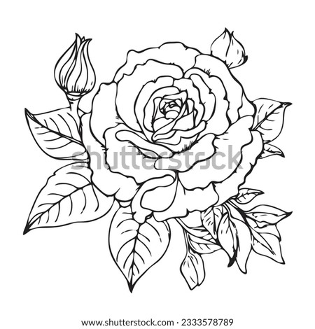 Black outline rose flower vector rose flower