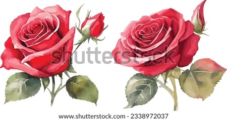 Watercolor red bouquet roses illustration. rose flower