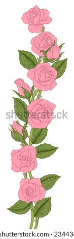 Roses design with rose flowers, buds and leaves in a vintage woodcut engraving illustration style.