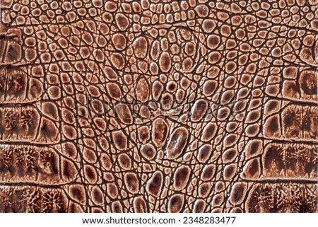 Brown scales macro exotic background, embossed under skin of reptile, crocodile. Texture genuine leather close-up