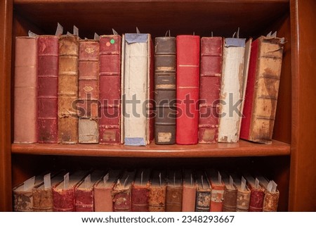 Old books from the old Viblioteca on wooden shelves, with various smells, old leaves and old leather pastes