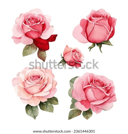 watercolor colorful rose bouquets in various shades of pinks and whites free vector, light green and yellow, circular shapes, isolated on white background
