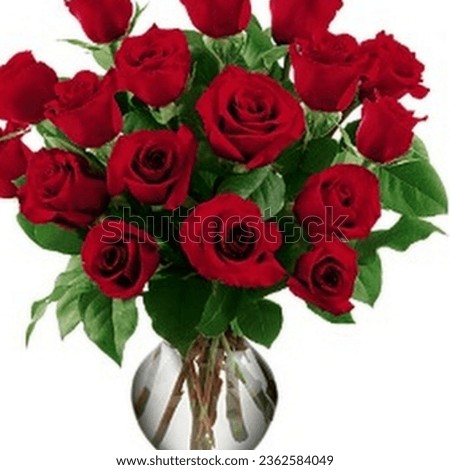 So swit roze is color red smal is very beautiful