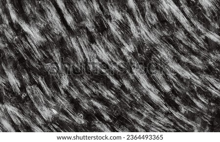 black and white grunge watercolor  paint background
