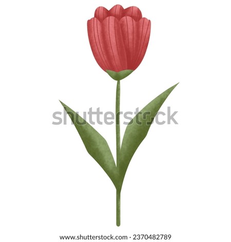 A Red Tulip Flower Bouquet