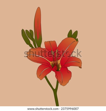 vector illustration of red lilies on a cream background