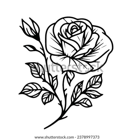 Timeless Beauty: A Captivating Monochrome Rose Blooms Gracefully on a Serene White Background