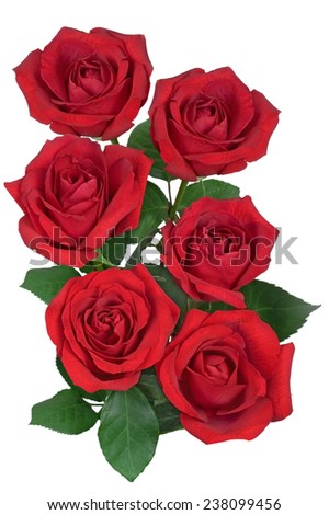 Red rose flower bouquet isolated on white background