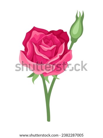 Watercolor cute rose. Pink flower with leaves. Beauty, elegance and aesthetics. Spring and summer season. Template and layout. Cartoon flat vector illustration isolated on white background
