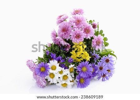 Pink, yellow, white chrysanthemums and purple asters