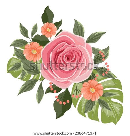 flowers of roses isolated on white for illustration