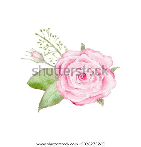 Watercolor pink single rose flower bouquet for valentines day card or Dusty pink wedding bouquet vector