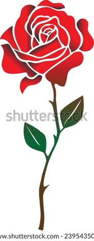 line drawing. Garden rose with leaves. Hand drawn sketch. Set of flowers. Vector illustration.