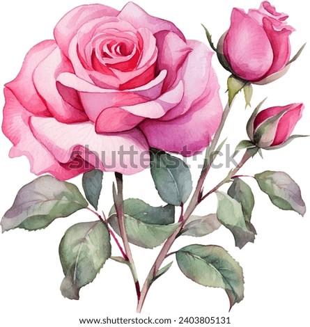 beautiful flower on an isolated white background, watercolor vector illustration