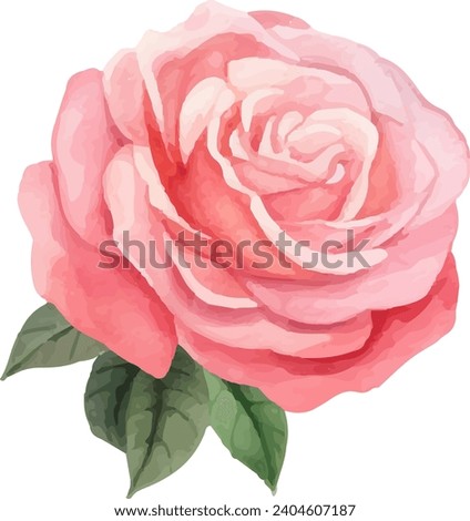 Red Rose Flower Watercolor Floral Clipart