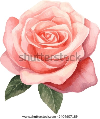 Red Rose Flower Watercolor Floral Clipart