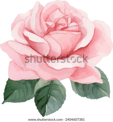 Watercolor rose Flower Clipart, Floral, Bouquets, Element