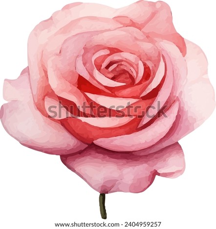 Watercolor floral texture pink rose