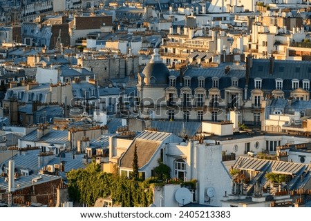 The rooftops of Paris , Europe, France, Ile de France, Paris, in summer, on a sunny day.