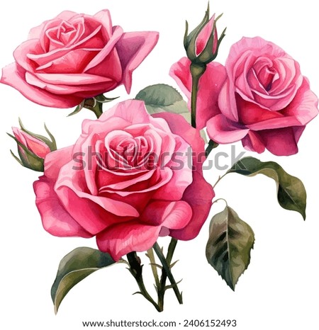 watercolor Pink rose flower bouquet