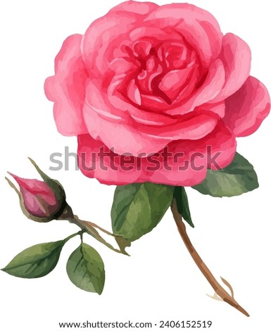 watercolor Pink rose flower bouquet