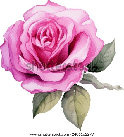 Hand painted watercolor pink rose flower