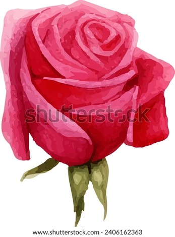 Hand painted watercolor pink rose flower