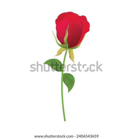 Vector rose flower illustration isolated on white background.