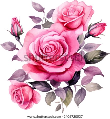 Pink Rose Flower isolated watercolor illustration painting