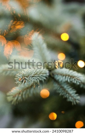 Christmas tree branches, bokeh lights