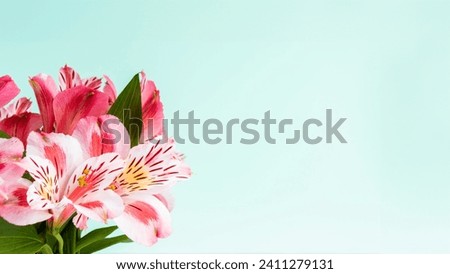 Celebration card with pink flowers on an aquamarine green background. Gift concept for Valentine's day