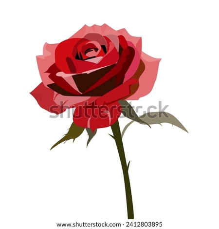 illustration of a blooming rose