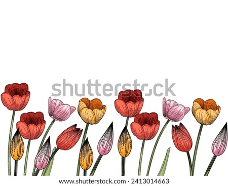 Set of three tulips flower hand drawn colorful sketch for drawing book vector illustration isolated on white background