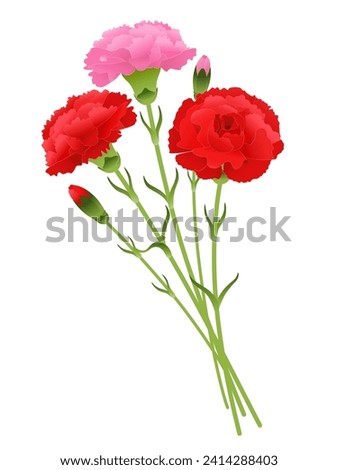 Vector illustration of carnation bouquet
