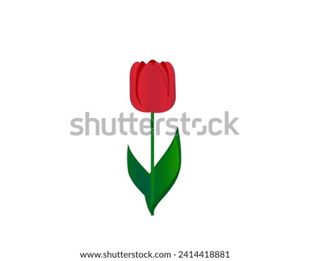 flat icon on white background tulip blooms . 8 March . Women's spring day