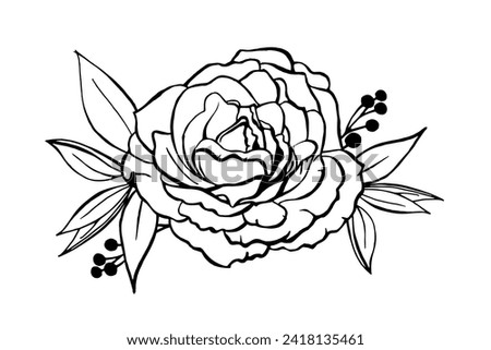 decorative botanical illustration outline of a rose on a white background with leaves and berries