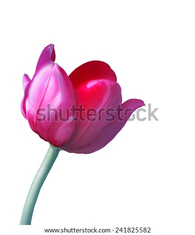 Digital painting of a red tulip