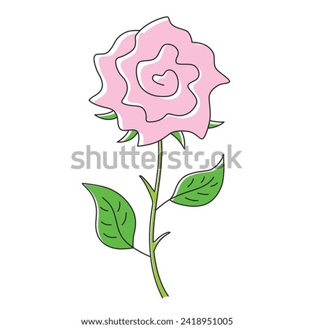 Pink rose flower vector illustration isolated