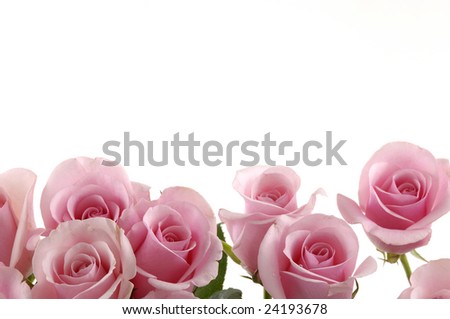 Beautiful Roses Bouquet