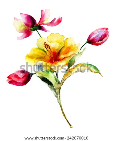 Tulip and Lily flowers, watercolor illustration 