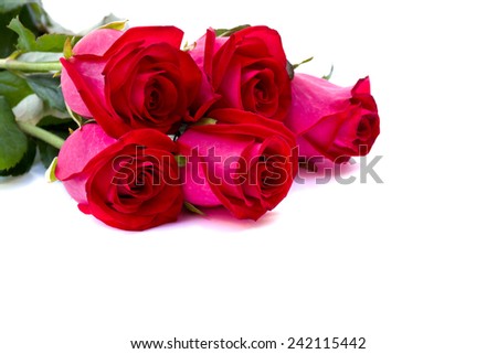 Beautiful bouquet roses on white background